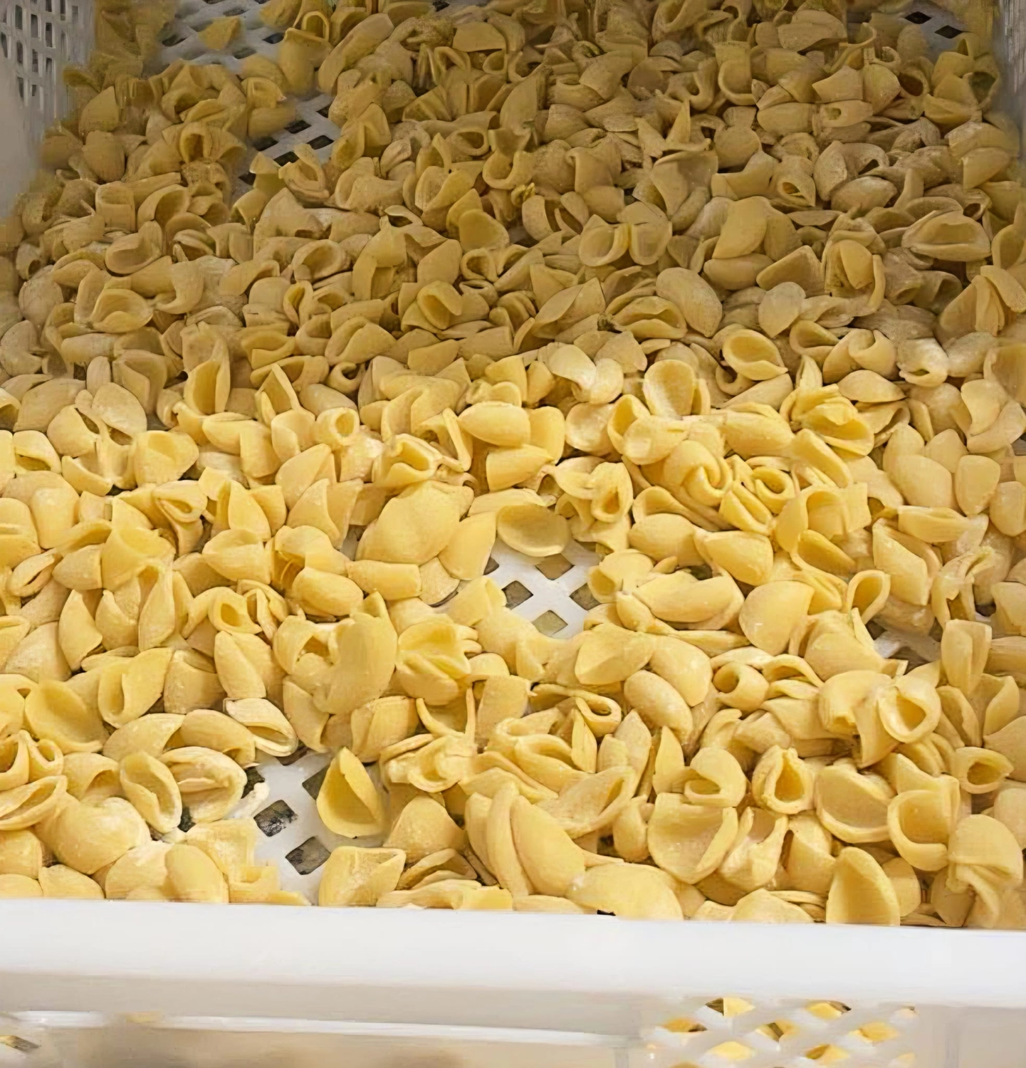 The Brothers – Pasta